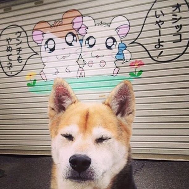 VALORANT 全球挑战赛即将来袭 EDG能否再创奇迹,valorant比赛英雄上场率