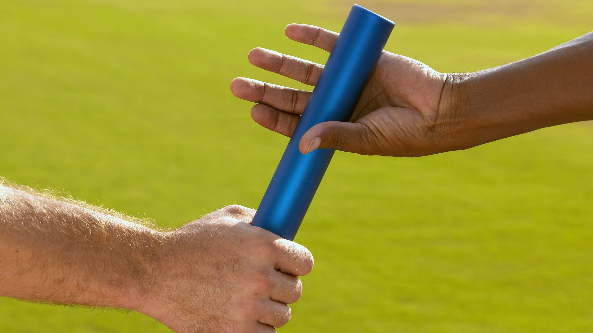 荷兰自由泳接力稳居前列,荷兰队自由人